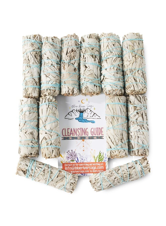 BLUE RIVER SAGE 12 Pack White Sage ~ Sage Smudge Sticks for Smudging & Cleansing Energy ~ Bulk/Wholesale ~ Sustainably Grown (12 Pack) - Image 5